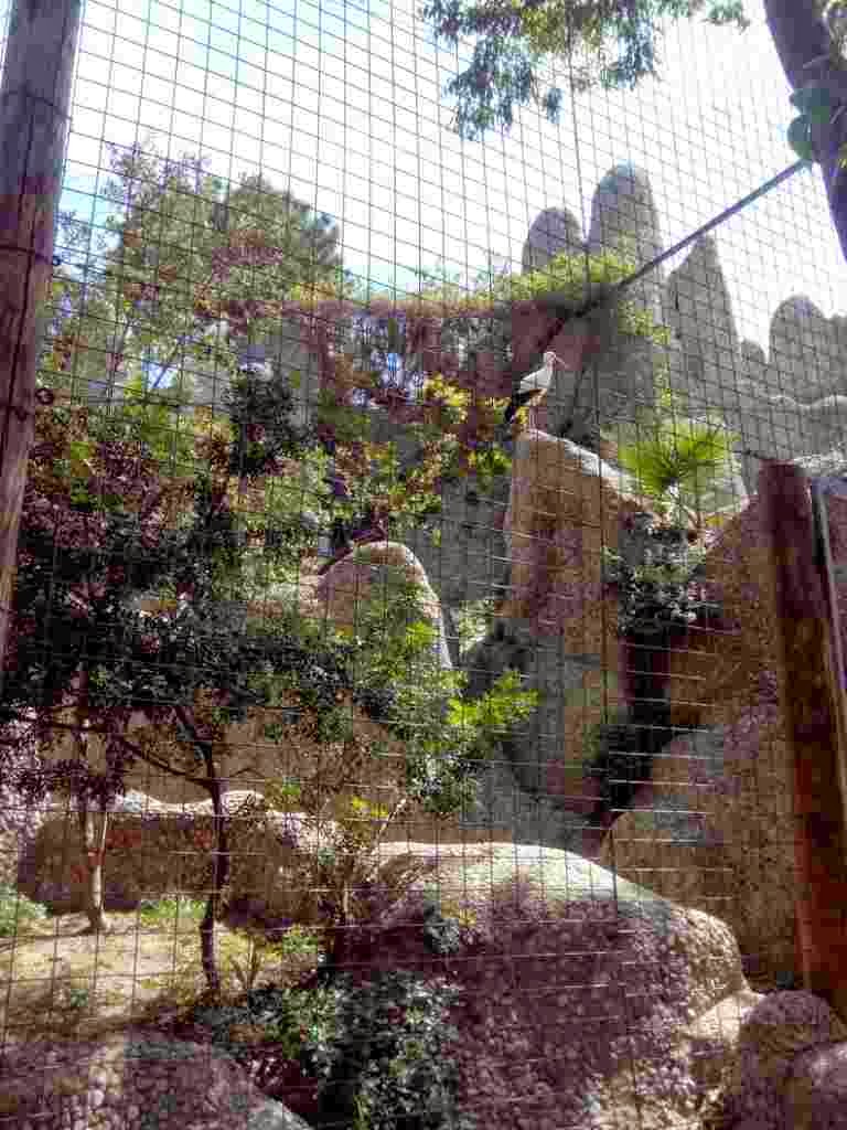 zoo de barcelona