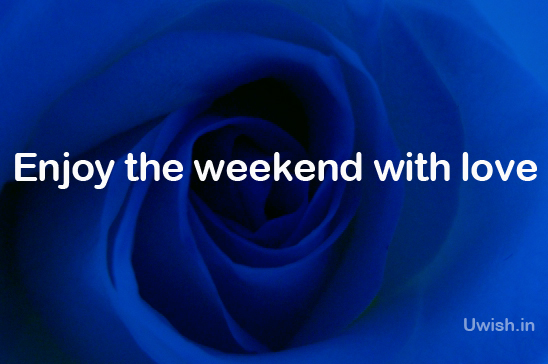 Rose is the expression of love. What more than a blue rose with dim light, an evidence of romance in the wish to your love. Enjoy the weekend with love.