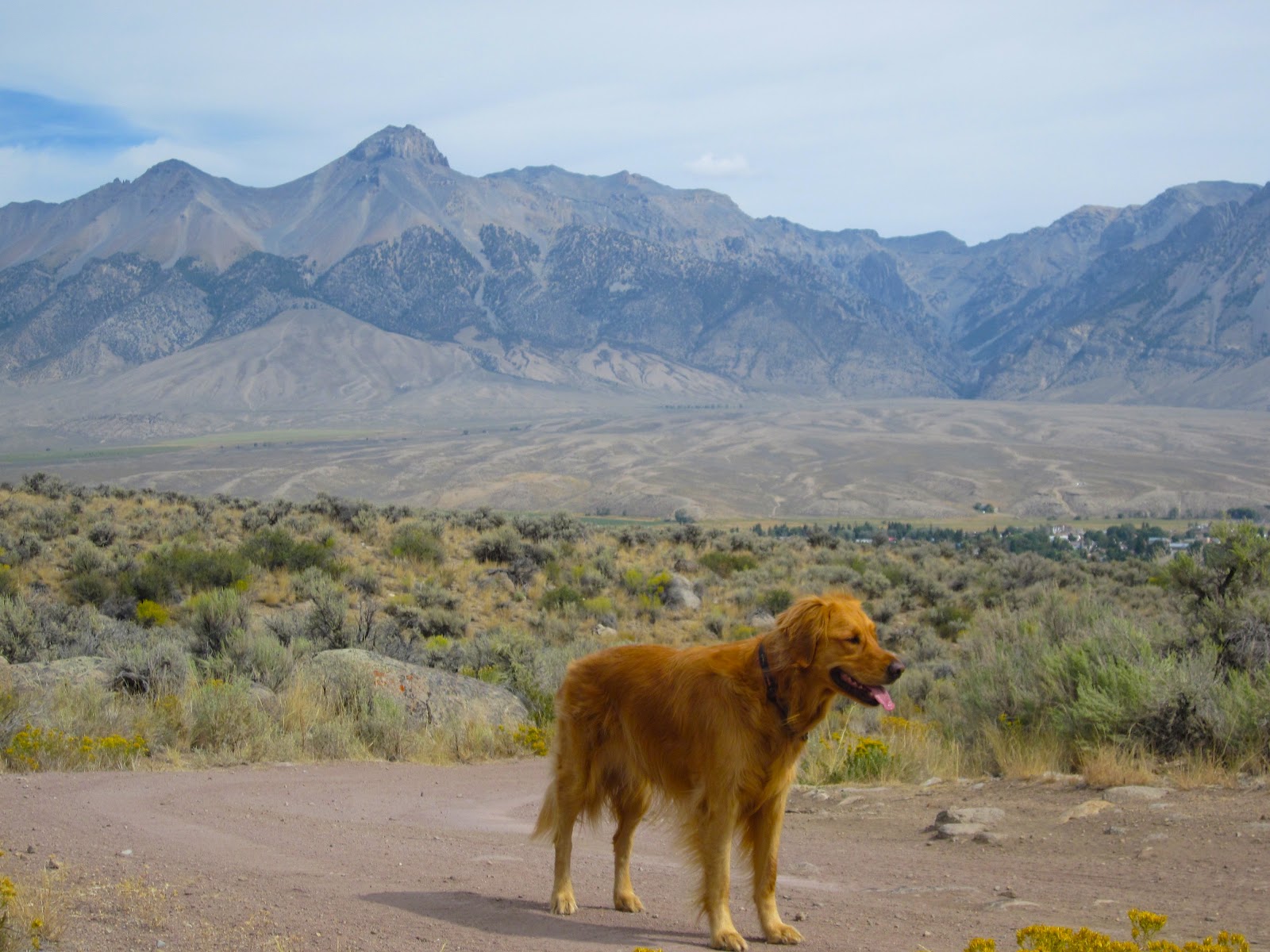 Mackay, Idaho 83251 Air Quality in Mackay Improved Today August 31 2012.