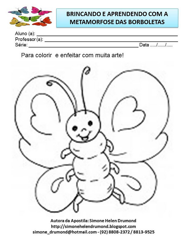 Simone Helen Drumond : ATIVIDADE 4 - AS BORBOLETAS