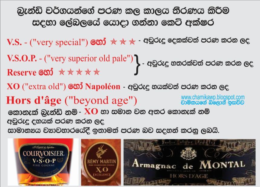 චාමිකයගේ බ්ලොග් ඉසව්ව... ගහන අඩියක් දැනගෙන ගහන්න,ඉගෙන ගන්න..වැඩකට (නැති / ඇති) මාතෘකාව අරක්කු