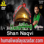 http://www.humaliwalayazadar.com/2016/06/shan-naqvi-nohay-2008-to-2017.html