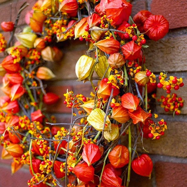 Autumn decoration &#8211; new nice suggestions!