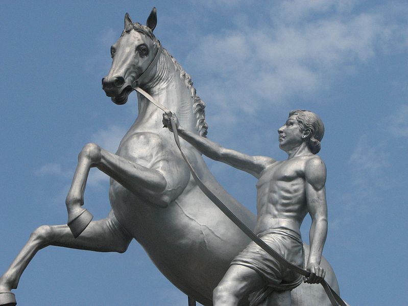 Statues and Beyond Equesterian Statue Gemini Flyover Namma Area..........