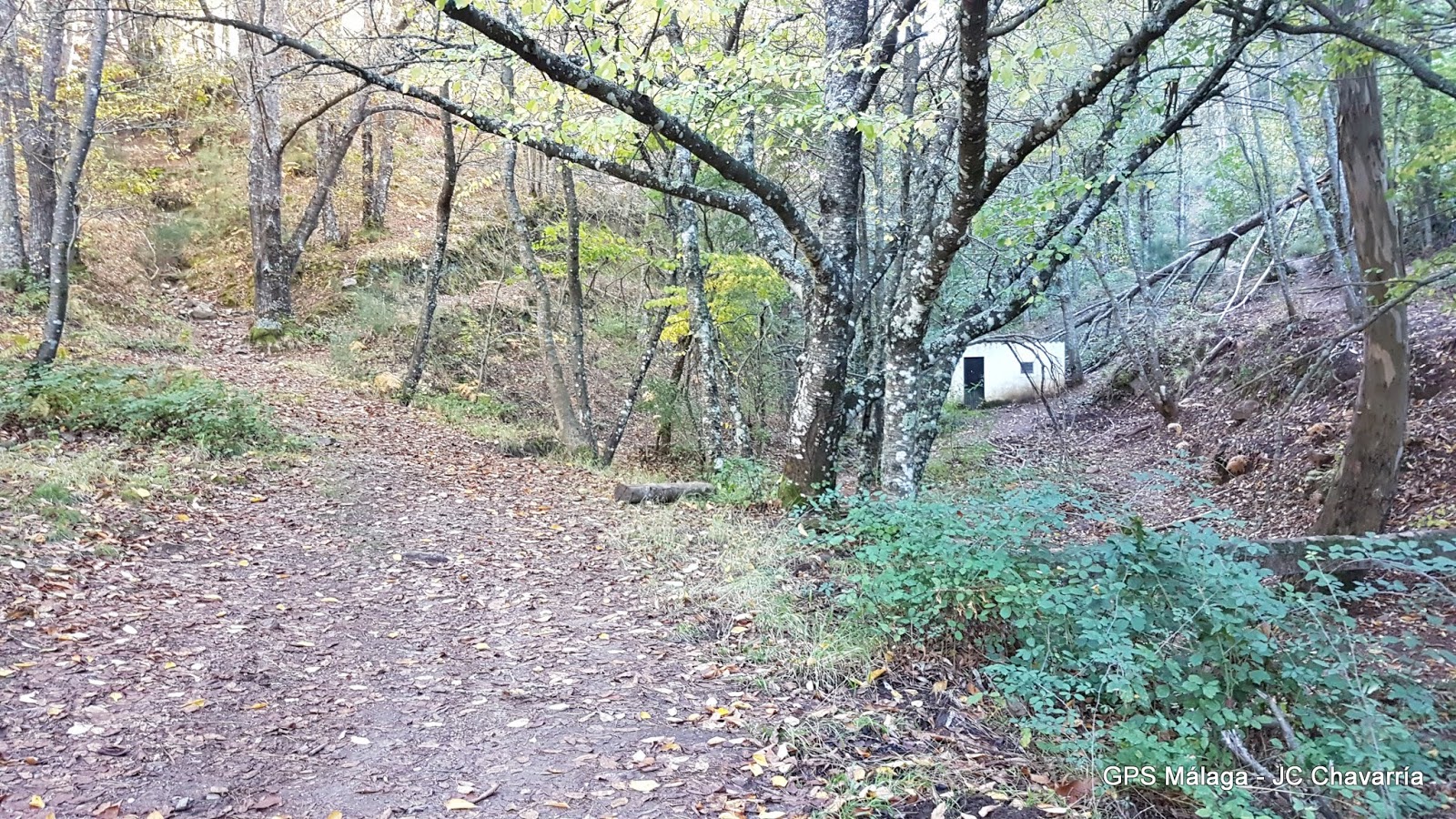 Wikiloc Ruta Circular Juanar Bosque Encantado, Castañas y Miradores