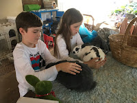Children Handling Rabbits