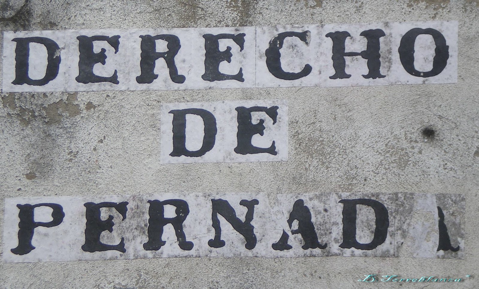 CONCEYU POR OTRA FUNCIÓN PÚBLICA N´ASTURIES (COFPA): El caso Marea y el