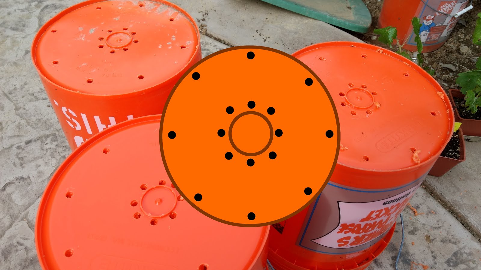 5 Vegetables for 5 Gallon Bucket Container Gardens Greens and Machines