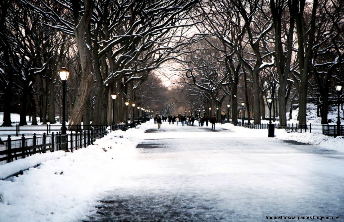 Desktop Wallpaper Winter Landscapes   WallpaperSafari