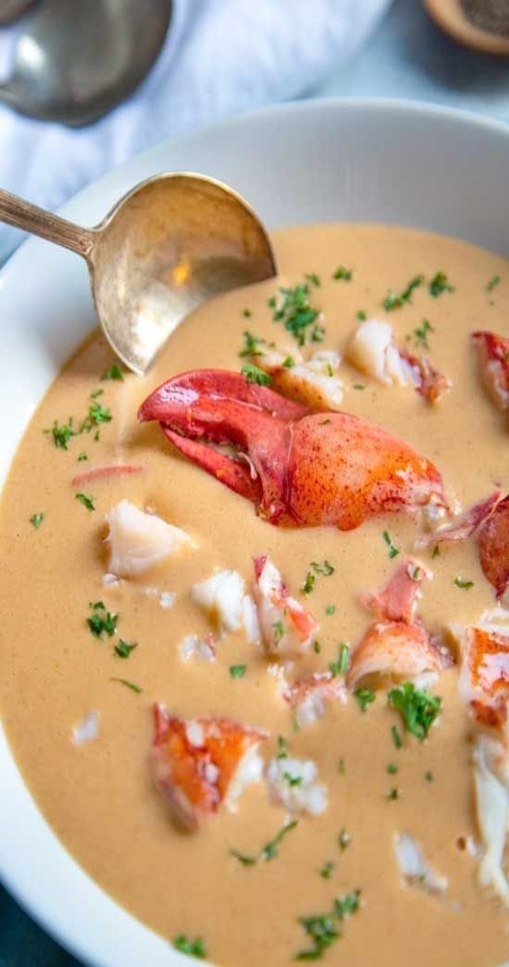 Restaurant Quality Lobster Bisque