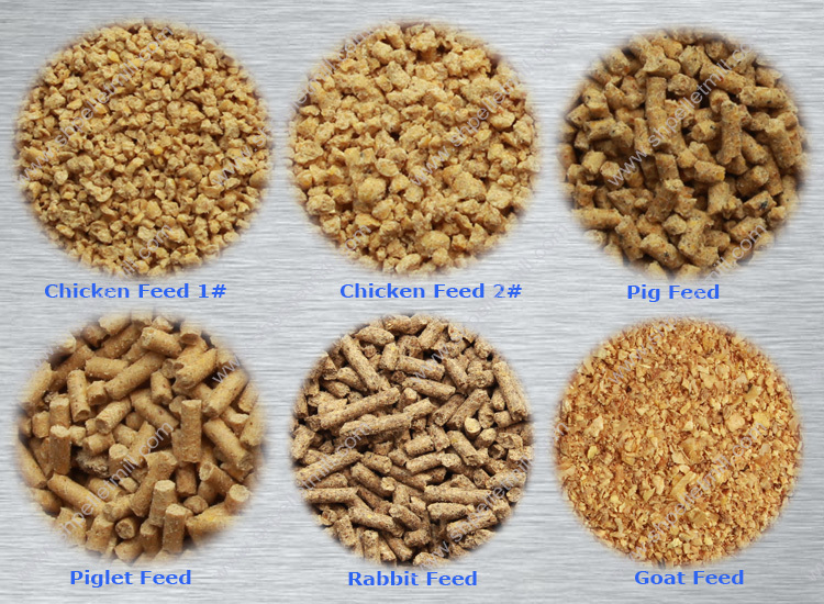 Two Types Of Animal Feed Available at Eduardo Pinkney blog