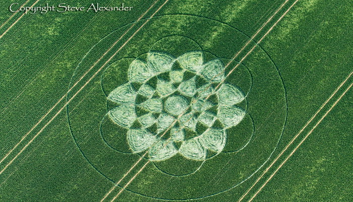 Crop Circle  - Página 6 Alexander1