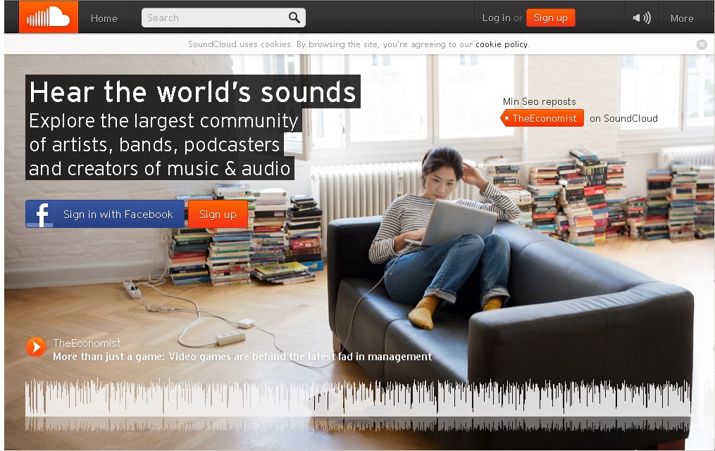 Top Social Networking Sites For Niche Bloggers