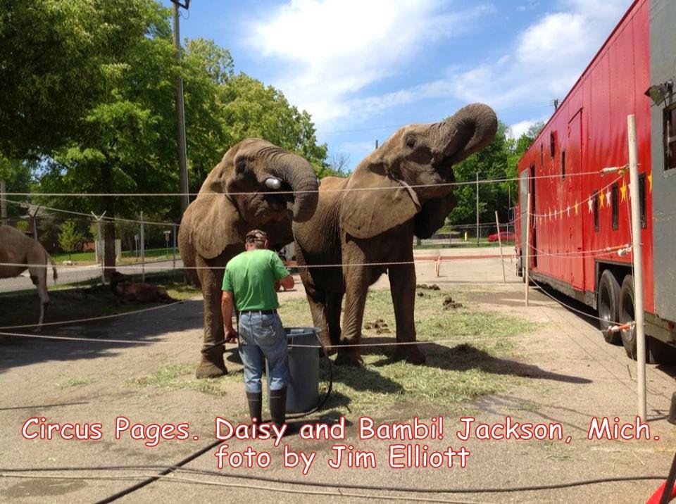 THE BALLOON MAN: circus pages