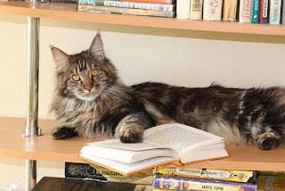 %25D0%259F%25D0%25BE%25D1%2587%25D0%25B8%25D1%2582%25D0%25B0%25D0%25B5%25D0%25BC