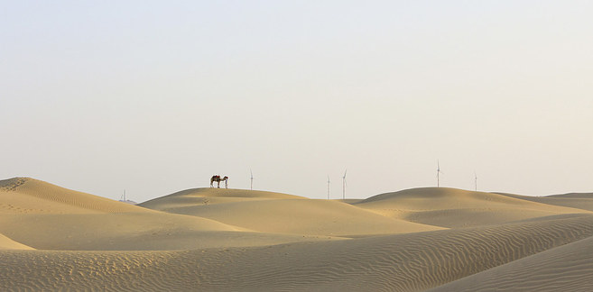 Thar Desert 