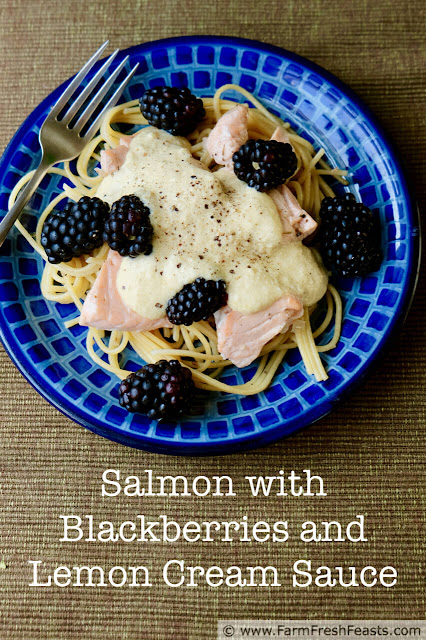 Flakes of salmon and crunchy blackberries covered in a lemony cream sauce served over pasta.
