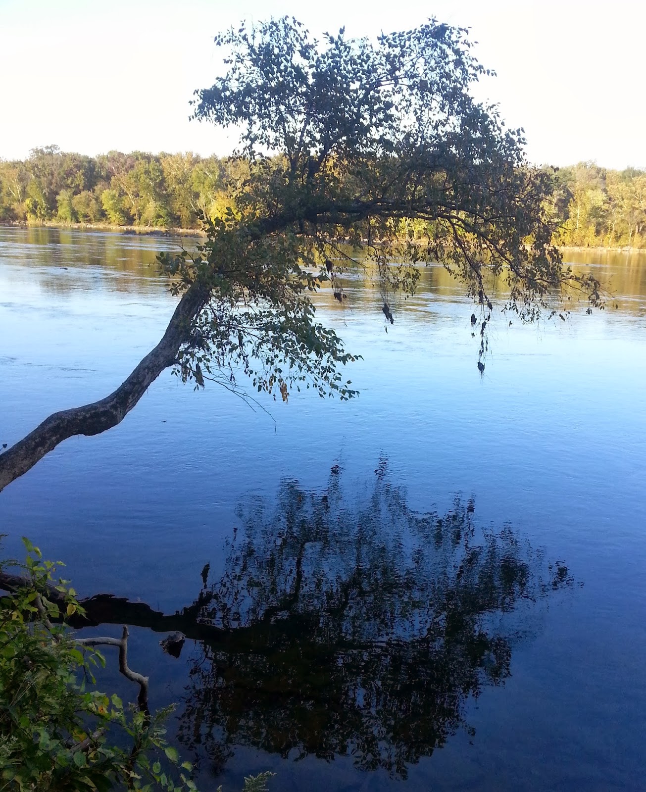Ben's Journal Trail Running Turkey Run Loop