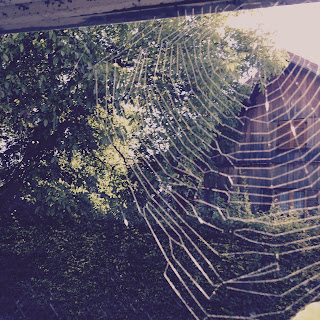 Billetes De Tren Economicos Horarios Alemania Europa Deutsche Bahn