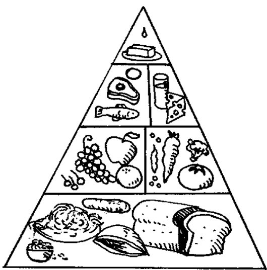 food pyramid coloring page for preschoolers Alphabet Coloring Pages