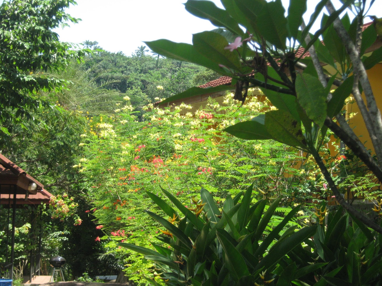 LDS Congo Mission: Into Africa...Trip From Kinshasa to Zongo Falls