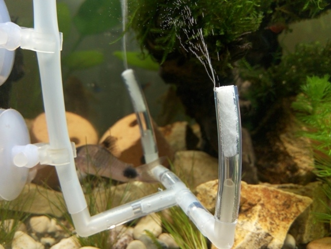 Cara Membuat Co2 Diy Untuk Aquascape