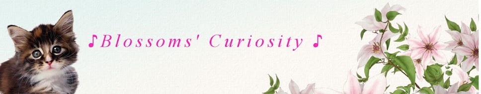Blossoms' curiosity ♪