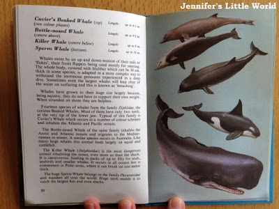 Ladybird book Sea and Air Mammals