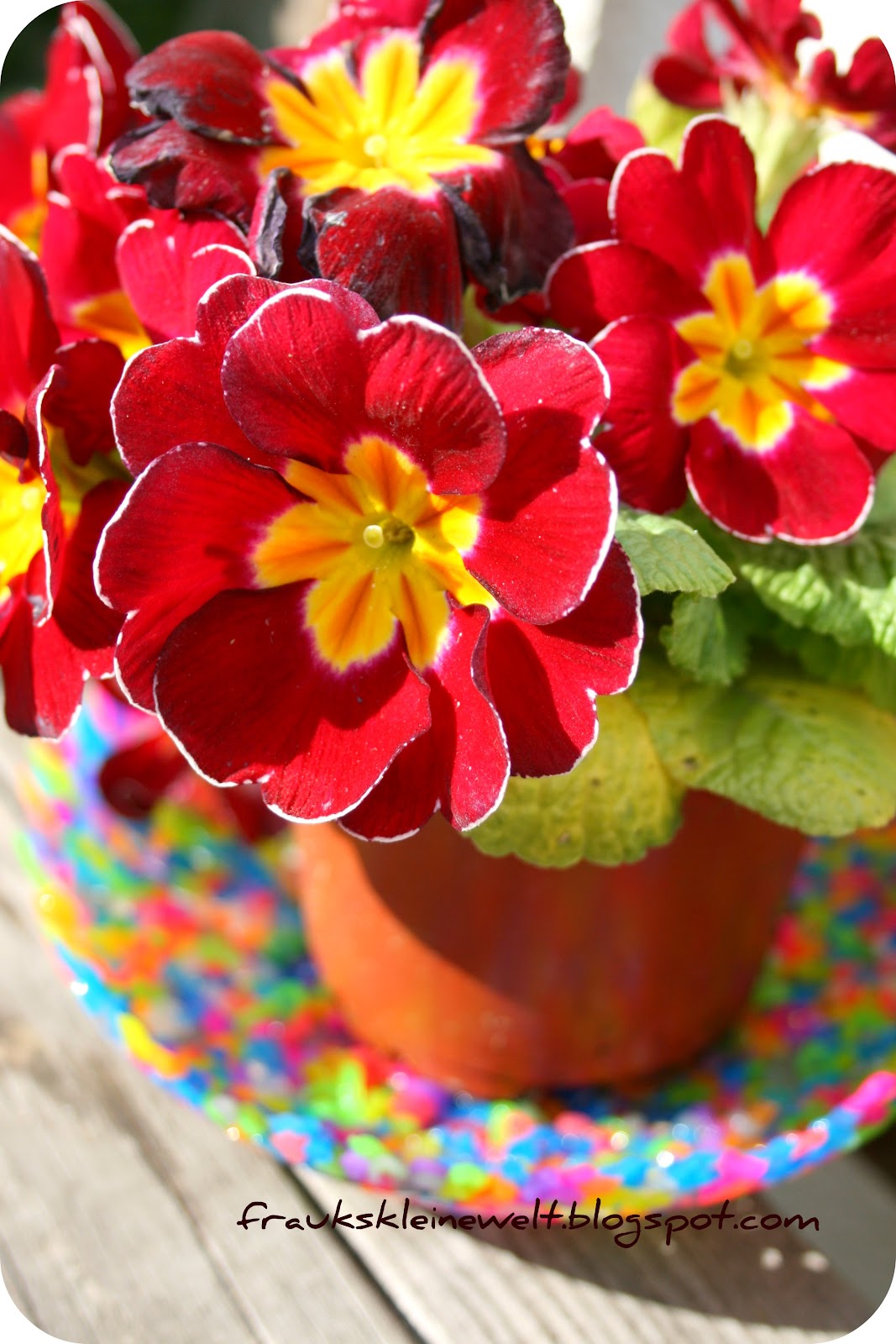 Blumentopf Basteln Mit Deinem Handabdruck Zum Bunten Geschenk