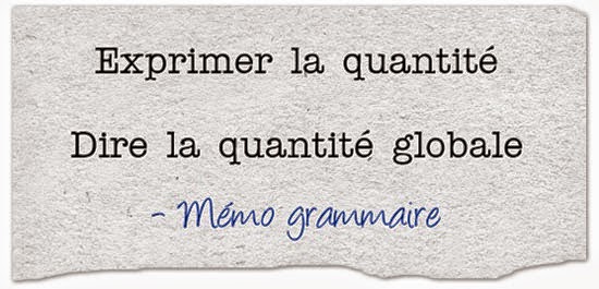 http://parlons-francais.tv5monde.com/webdocumentaires-pour-apprendre-le-francais/Memos/Grammaire/p-831-lg0-Dire-la-quantite-globale.htm