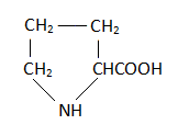 estrutura quimica prolina formula