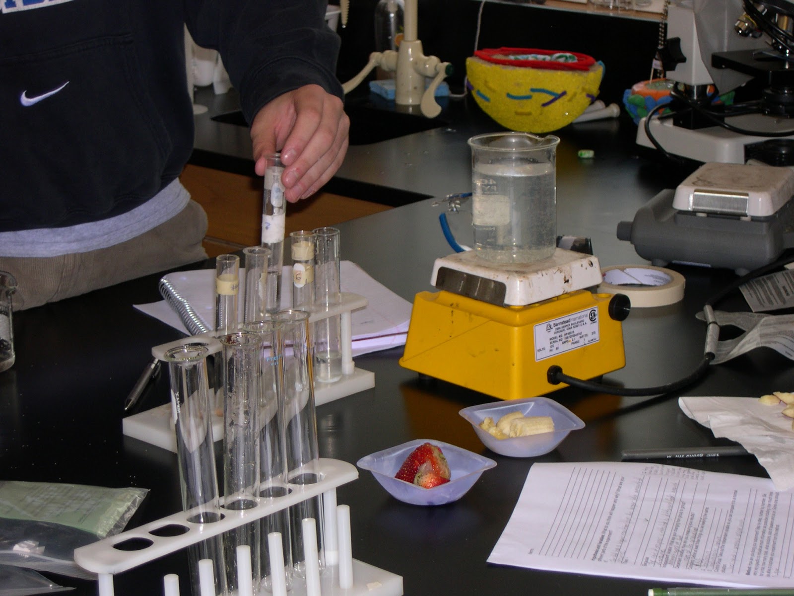 Potato And Hydrogen Peroxide Experiment