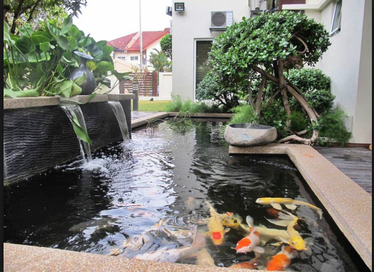 Desain Taman Minimalis Modern Dan Cantik Dengan Kombinasi Kolam Ikan