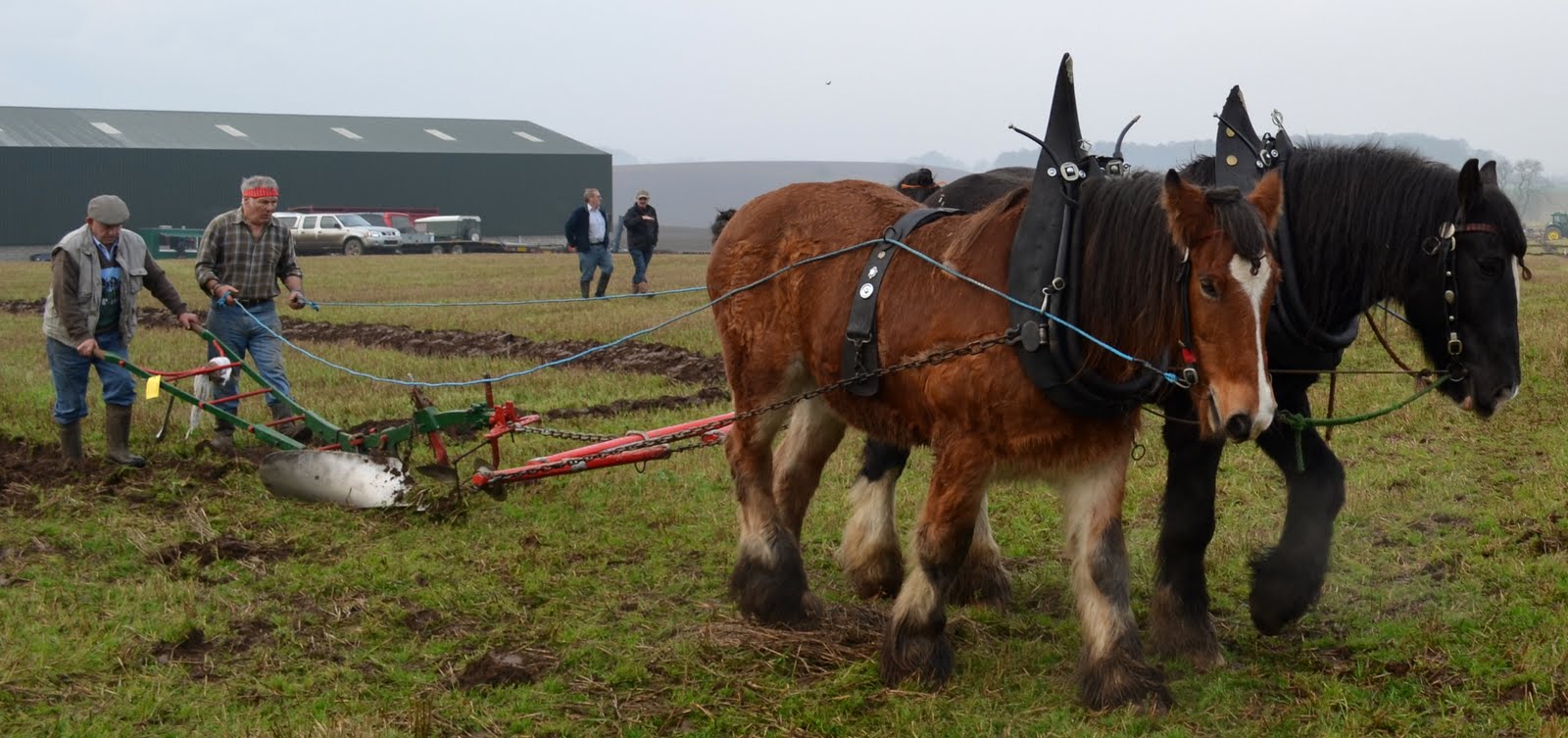 Tour Scotland Tour Scotland Photographs Clydesdale Horses Perthshire Tour Scotland Tour Scotland Photographs Clydesdale Horses Perthshire