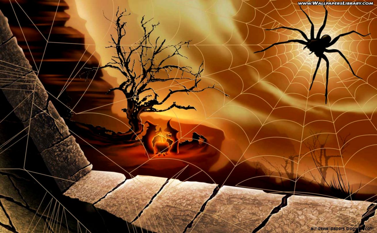 Spiderweb Wallpaper Superfine Spiderweb Wallpaper Superfine