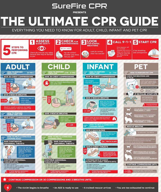 CPR (CARDIOPULMONARY RESUSCITATION)