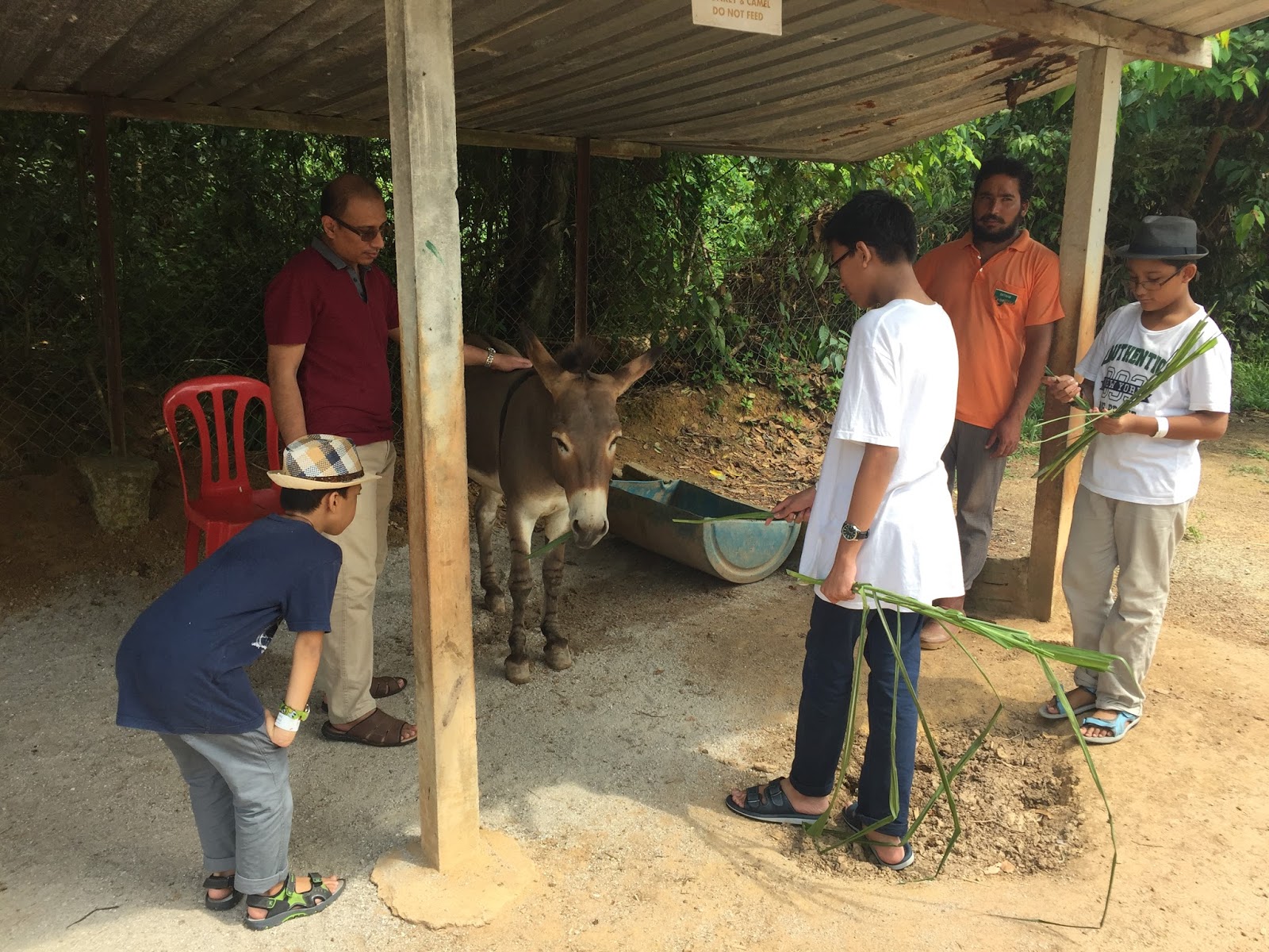 Percutian Di Port Dickson - Ostrich Farm.