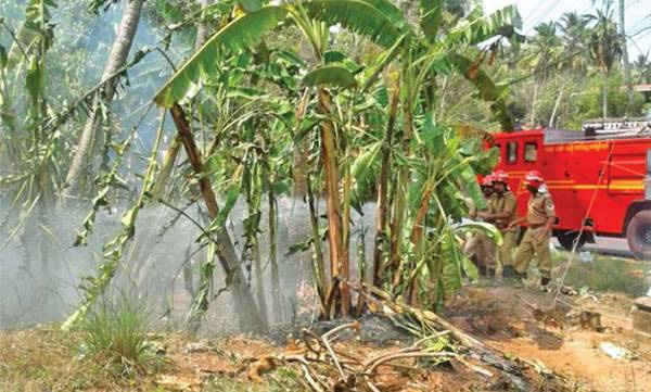 നാട്ടുകാര് പറയുന്നു പടക്കം പൊട്ടിക്കുമ്പോഴേ അറിയാമായിരുന്നു വാഴത്തോട്ടം കത്തുമെന്ന്