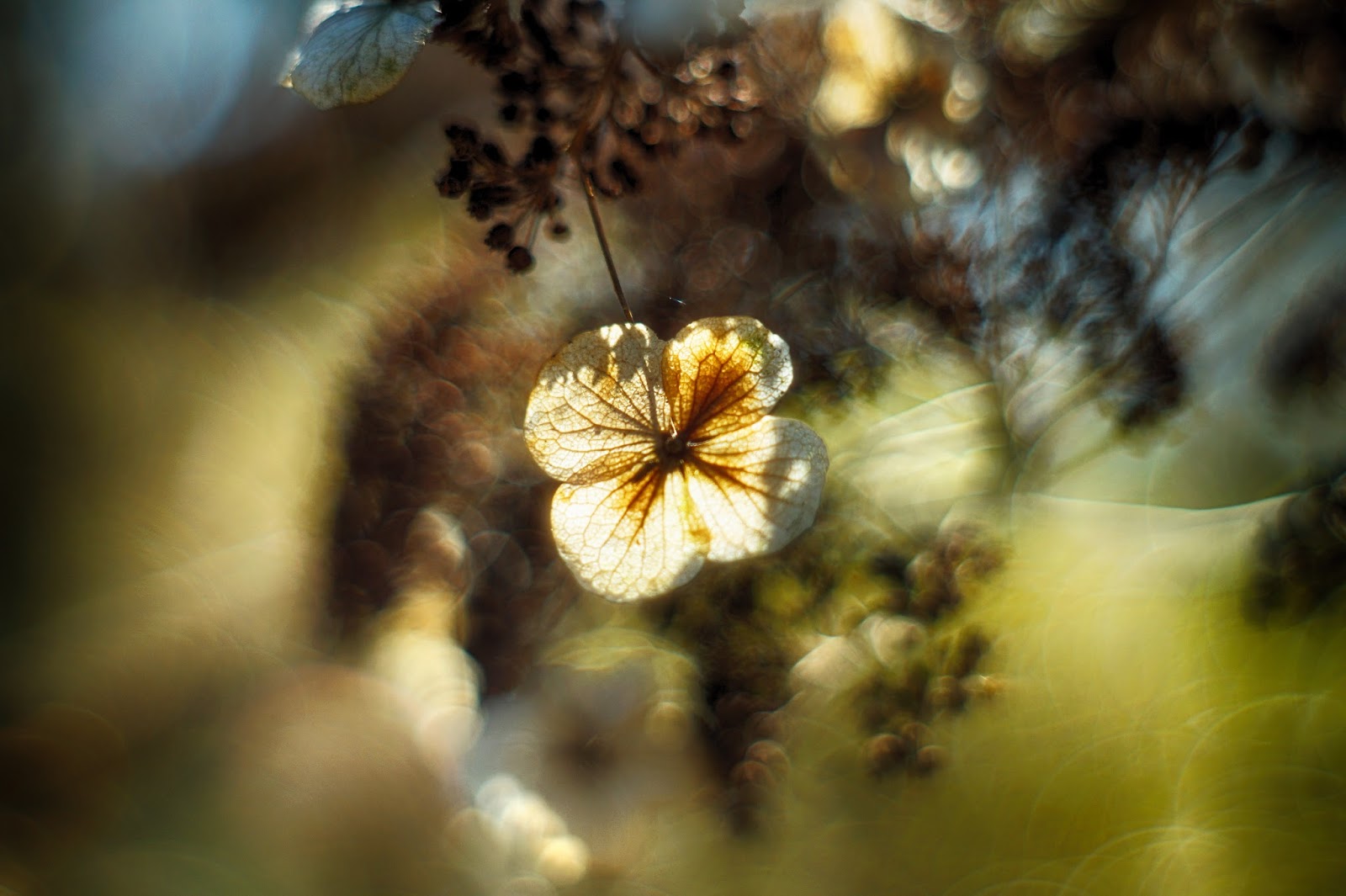 Die Heftigsten Kriegsgedichte Kriegslyrik Neu Seemannslos