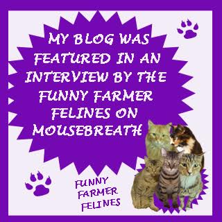 My Interview on Mousebreath!