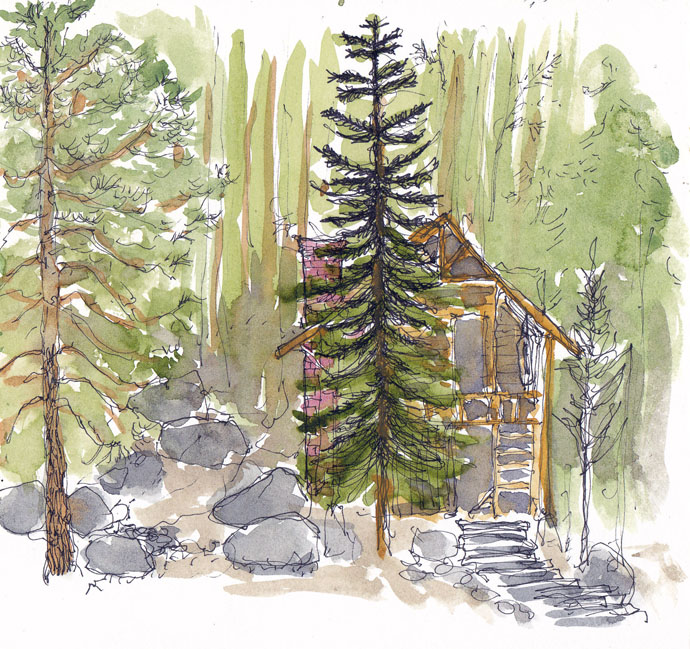 10 Ide Sketsa Gambar Hutan Pinus - Tea And Lead