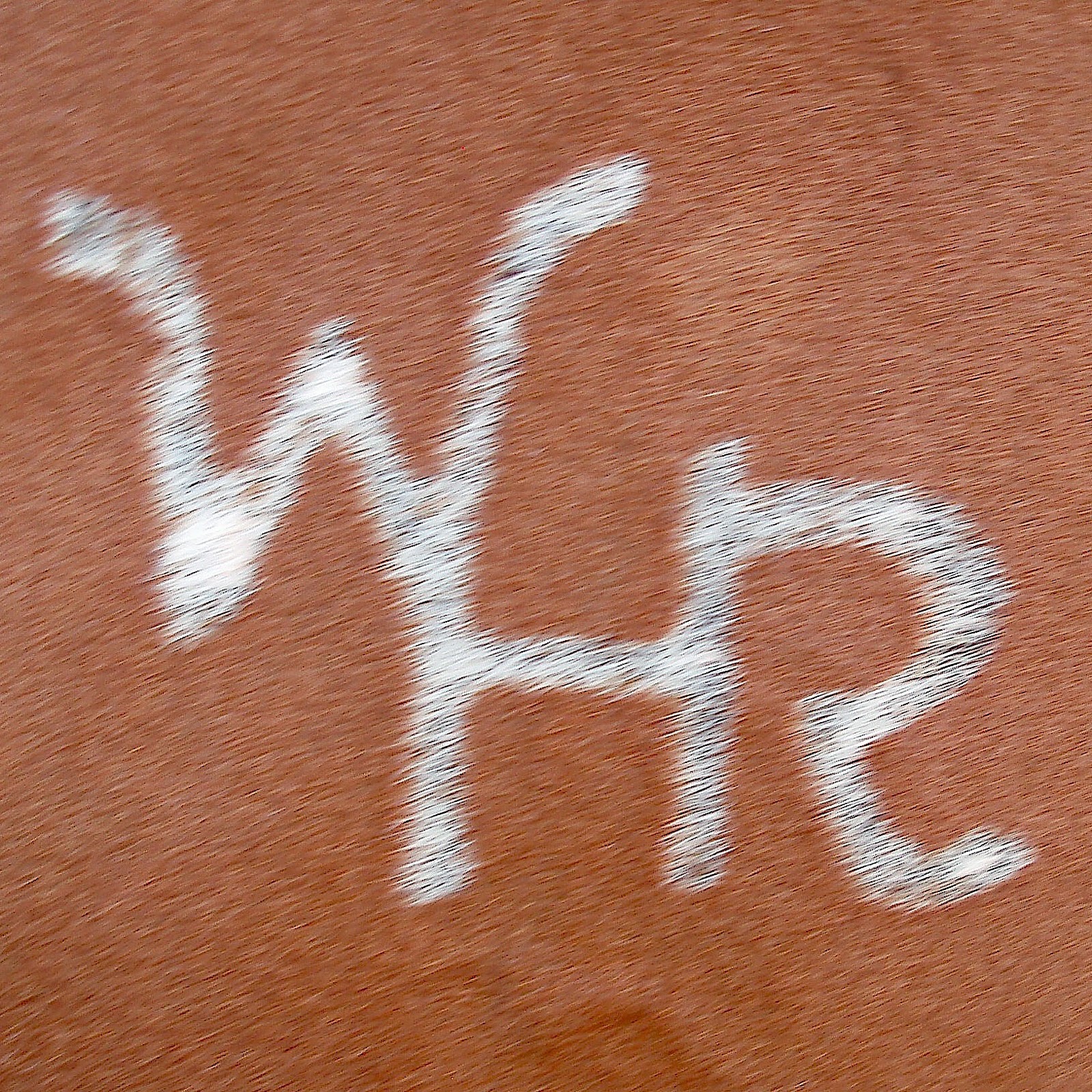 Whispering Horse Ranch Home