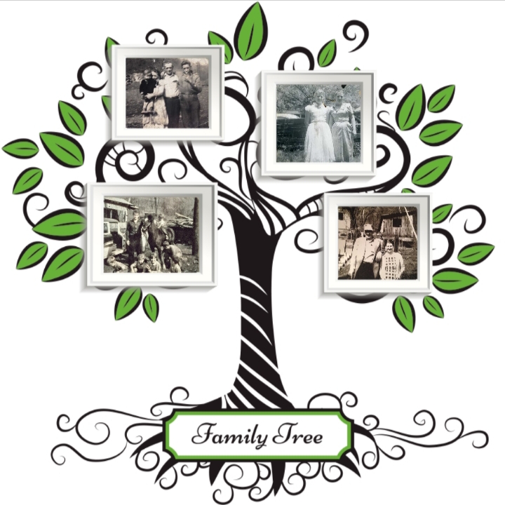 Click below to see my family tree