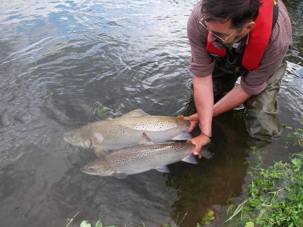 Through the Gaps! Newlyn Fishing News EU project to provide vital research on salmon and sea Through the Gaps! Newlyn Fishing News EU project to provide vital research on salmon and sea