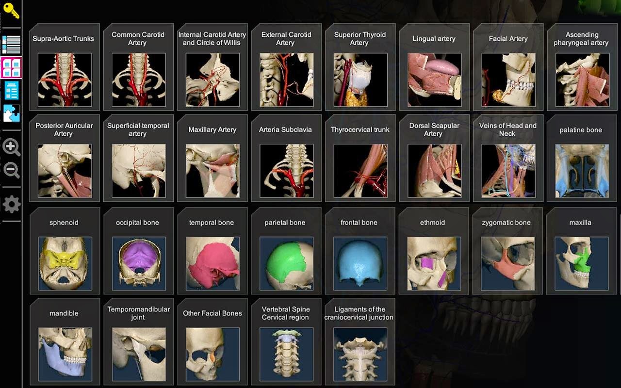 برنامج مجاني لطلبة كليات الطب لتعلم علم التشريح البشري بشكل تفاعلي بقنية 3D لويندوز وأندرويد وماك AnatomyLearning - 3D Atlas