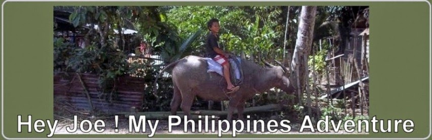 Hey Joe! My Philippines Adventure