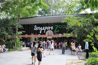 Places Singapore Zoo