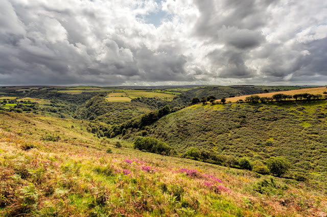 Sunlight on the East Lyn Valley in Exmoor National Park