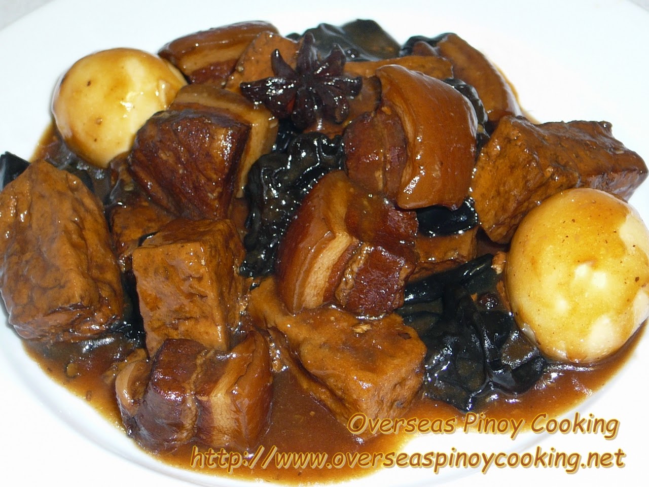 Braised Pork and Tofu with Black Fungus