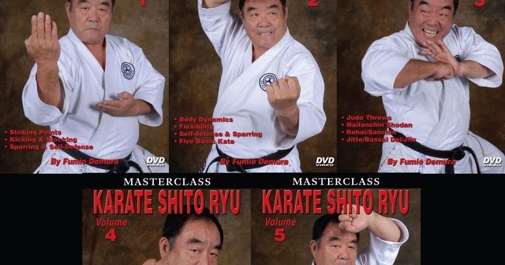 Shito Ryu Karate